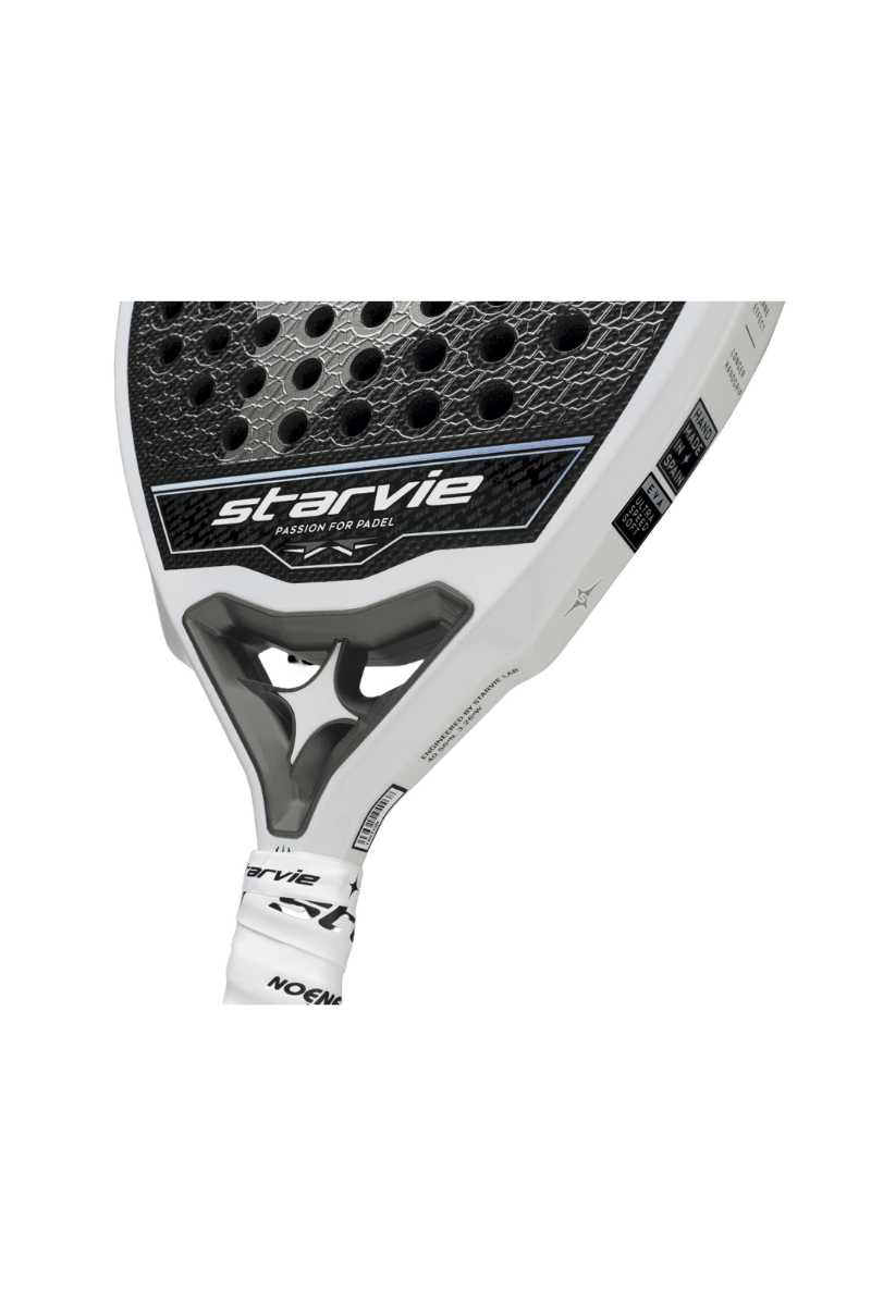 Starvie Triton Speed 2024