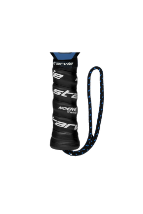 Starvie Metheora 2024